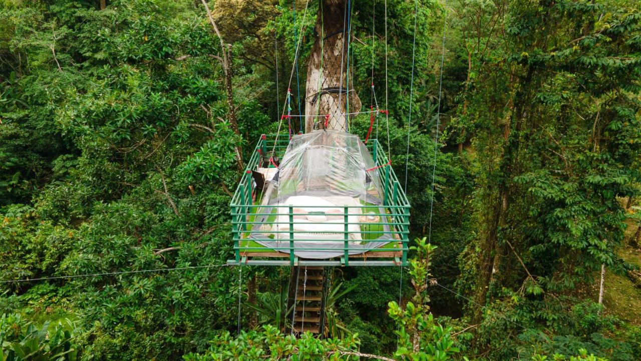 Hotel Boutique The Green Jungle House Puerto Viejo de Talamanca Exterior photo