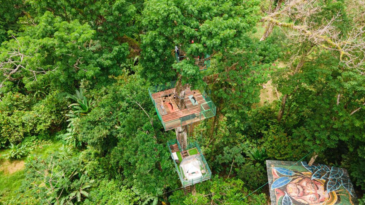 Hotel Boutique The Green Jungle House Puerto Viejo de Talamanca Exterior photo