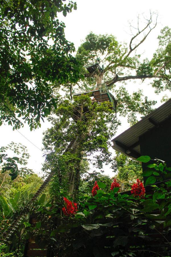 Hotel Boutique The Green Jungle House Puerto Viejo de Talamanca Exterior photo