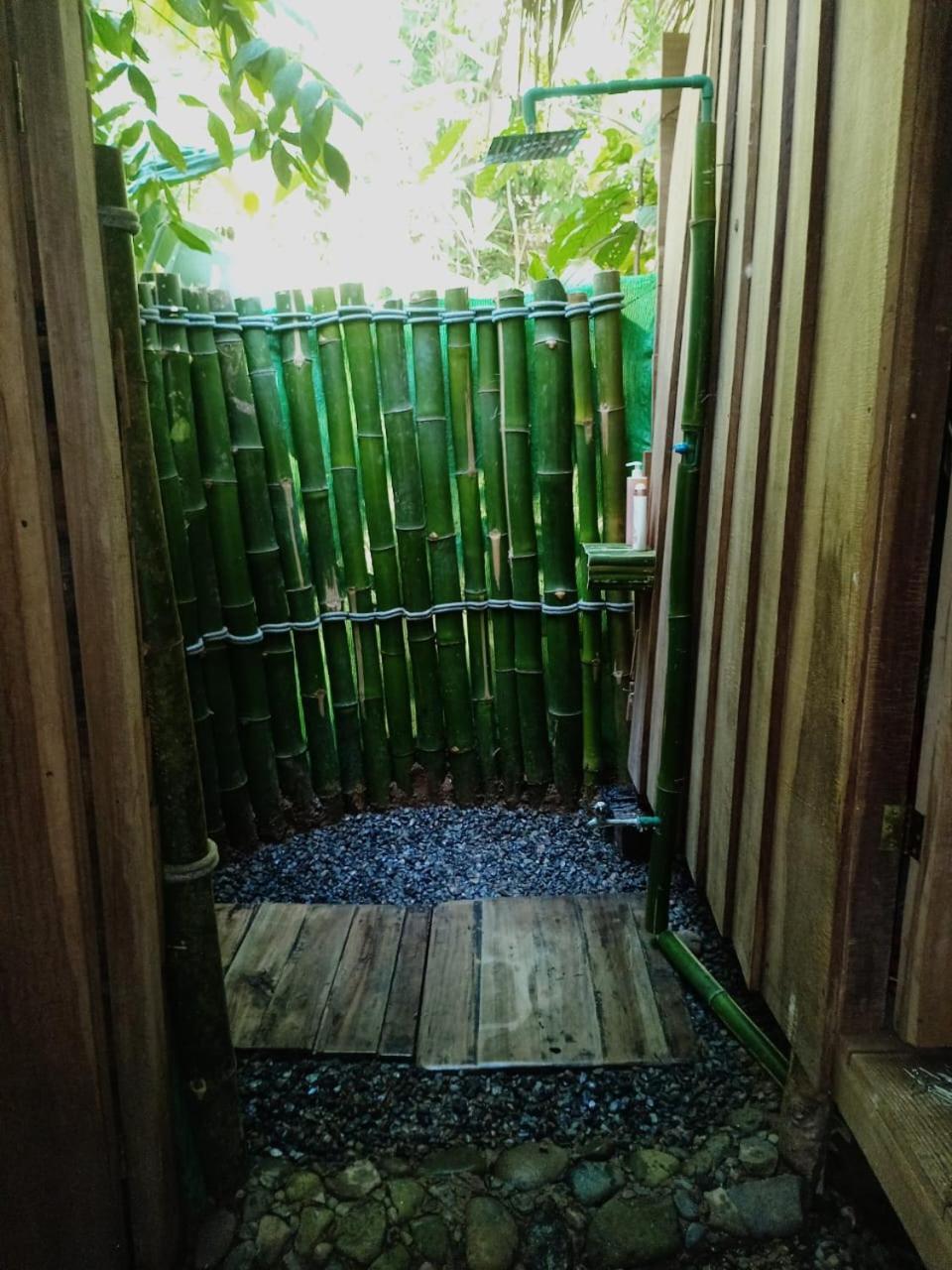 Hotel Boutique The Green Jungle House Puerto Viejo de Talamanca Exterior photo