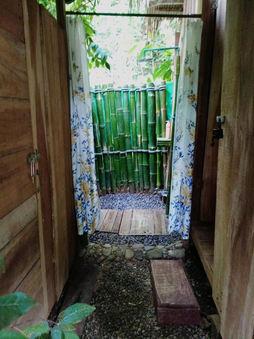Hotel Boutique The Green Jungle House Puerto Viejo de Talamanca Exterior photo